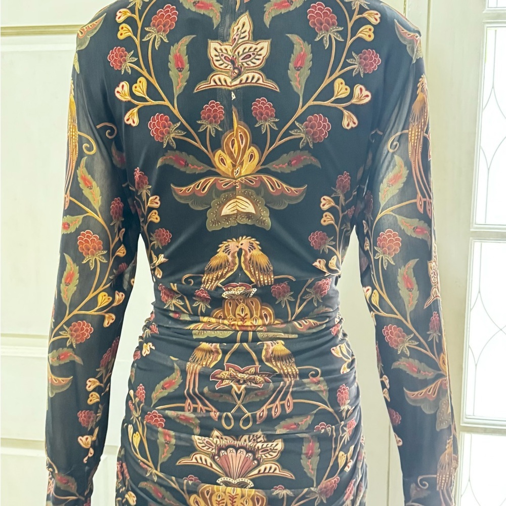 Farm Rio Transparent Berry Garden Long Sleeve Ruched Dress Size XL - Picture 10 of 14